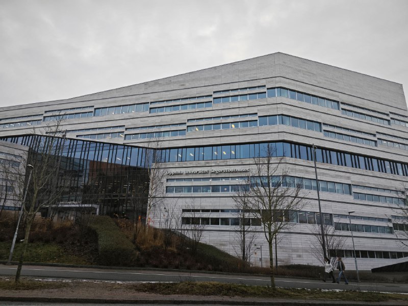 今日出游 U村今日出游 U村