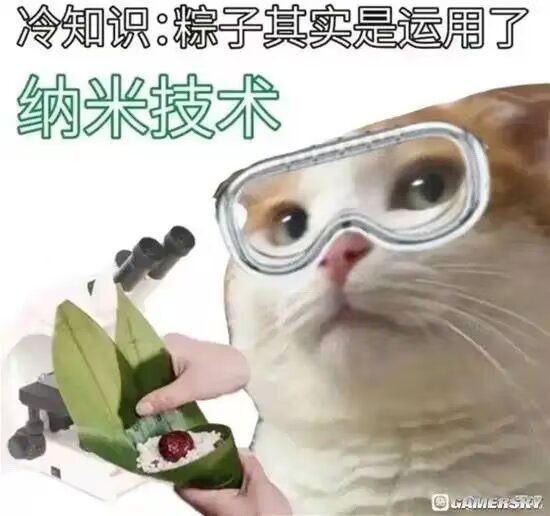 粽子事实上是一种费米子