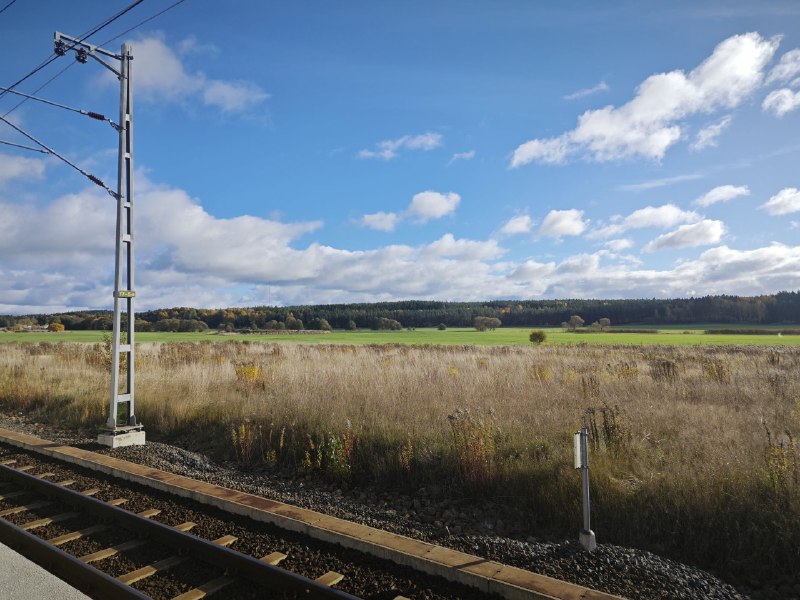 今日出游今日出游