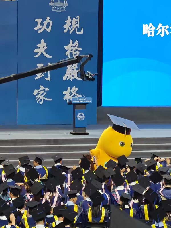 深圳奶龙大学深圳奶龙大学